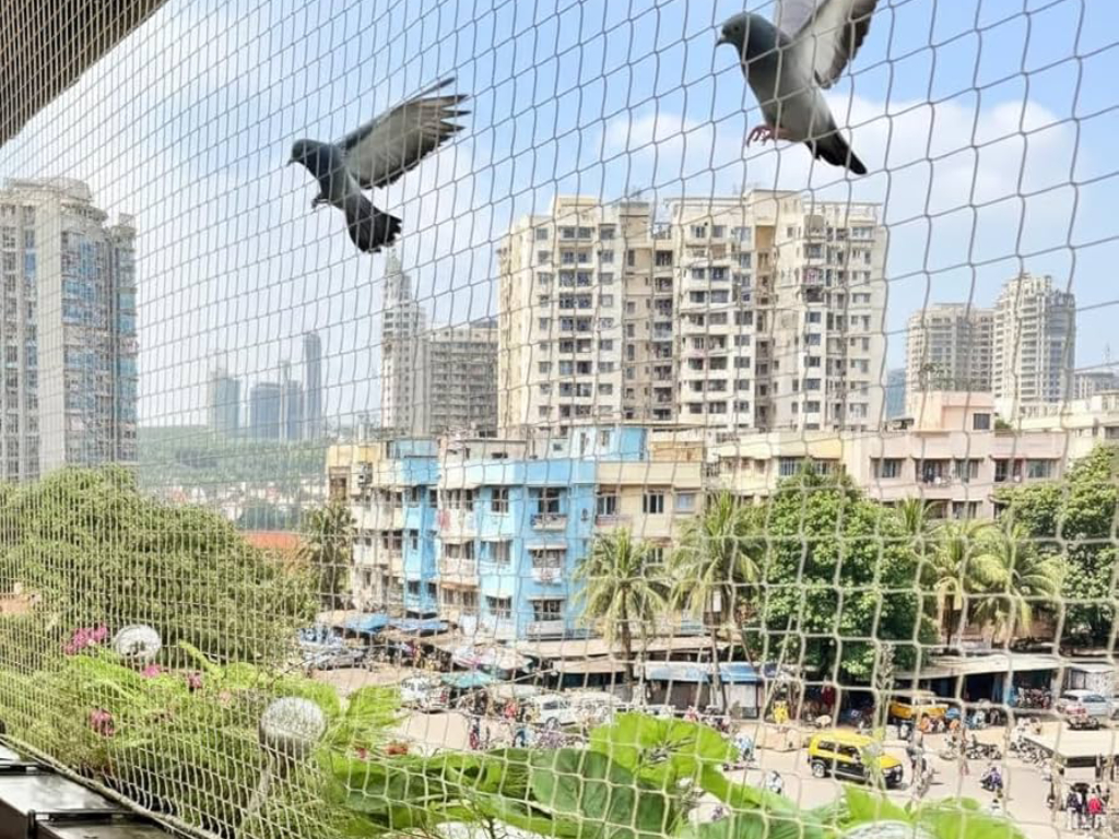 Bird Netting  Coimbatore